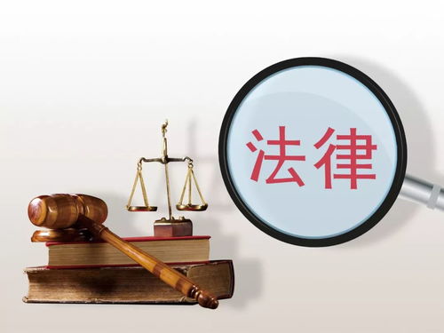 天津老人優(yōu)待與補(bǔ)貼最新匯總 信息咨詢服務(wù)指南